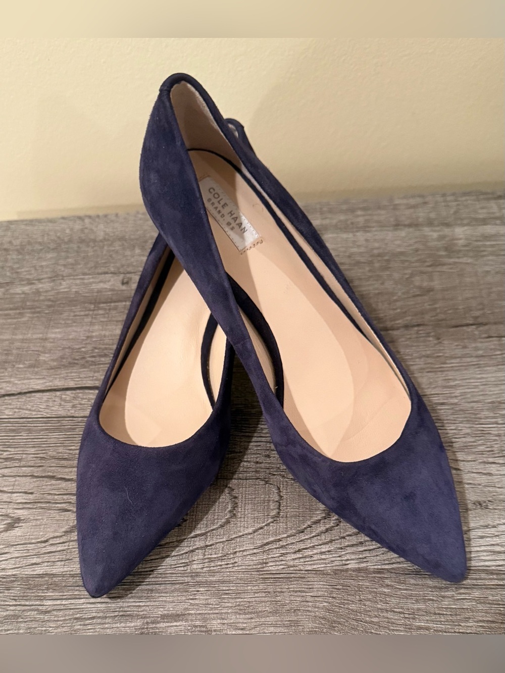 Cole Haan Navy Blue Suede Pointed Toe Pumps Heels Women’s Size 6B